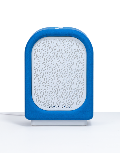 Lantern - Dory